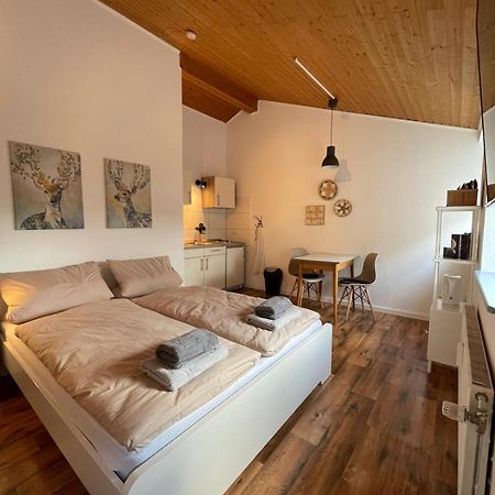 Apartment Kleiner Muenz Кобленц Екстериор снимка